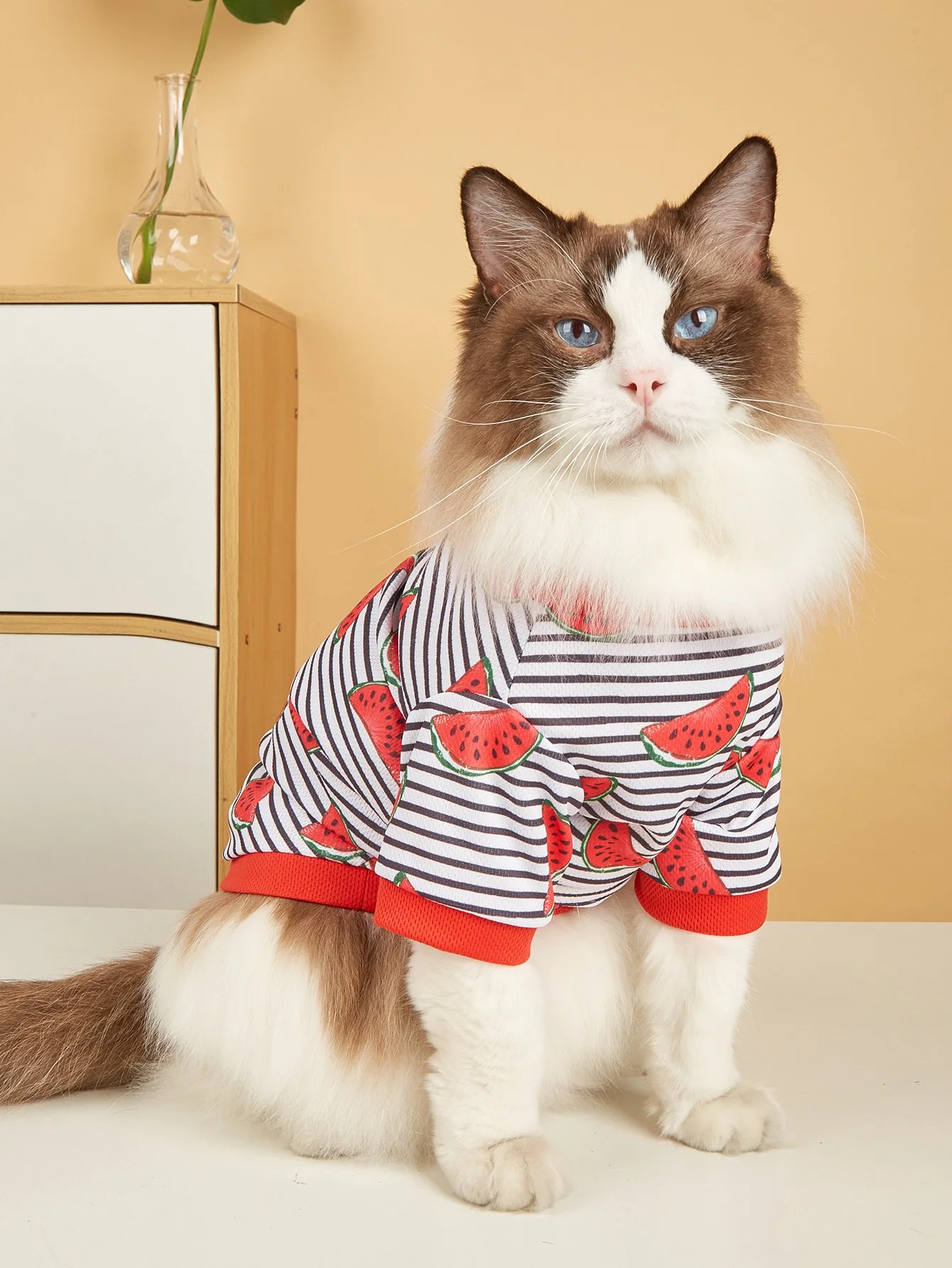 Cute Watermelon Print Summer Outfit for Small Pets
