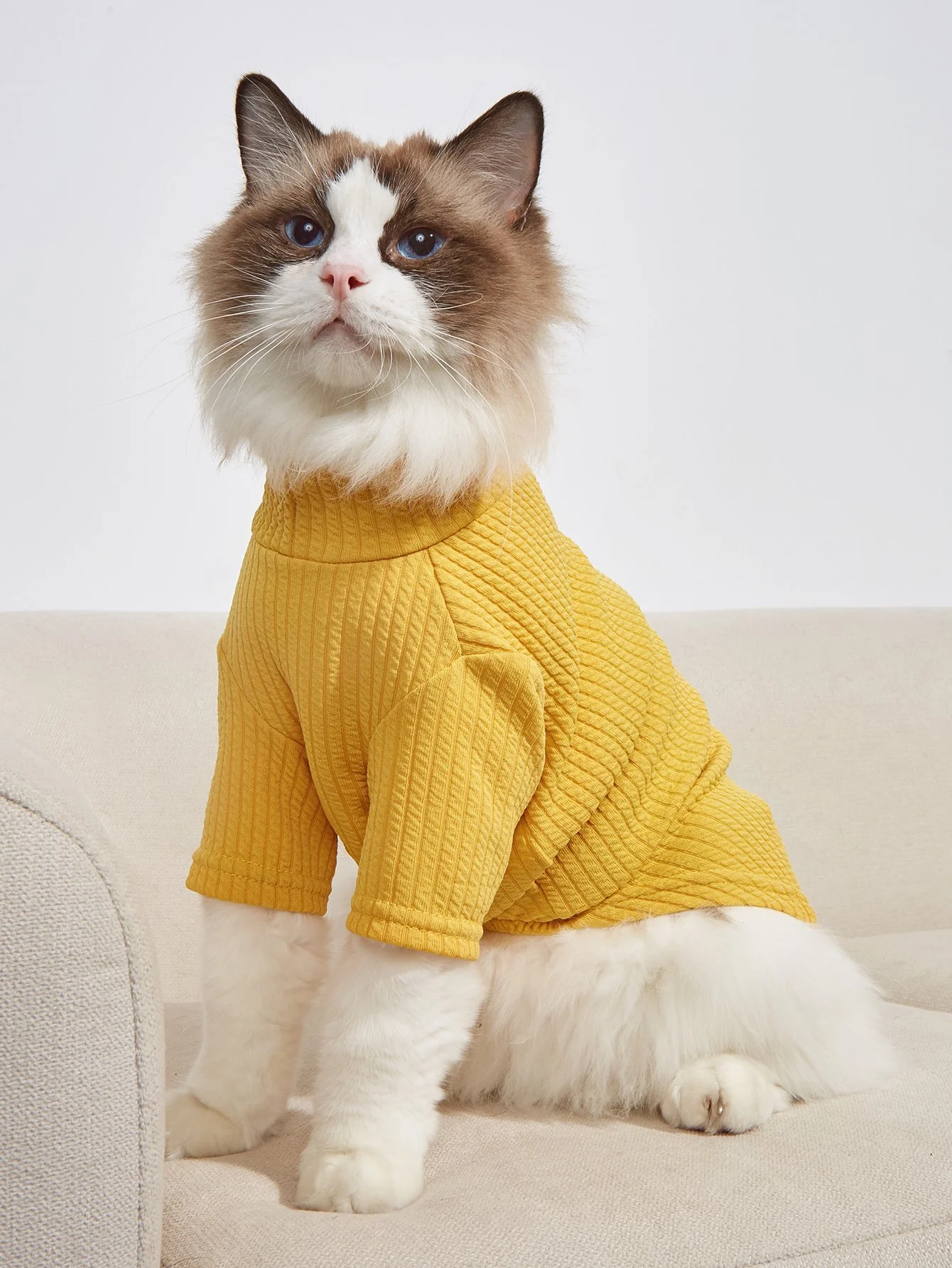 Soft & Stylish Pet Apparel for All Seasons