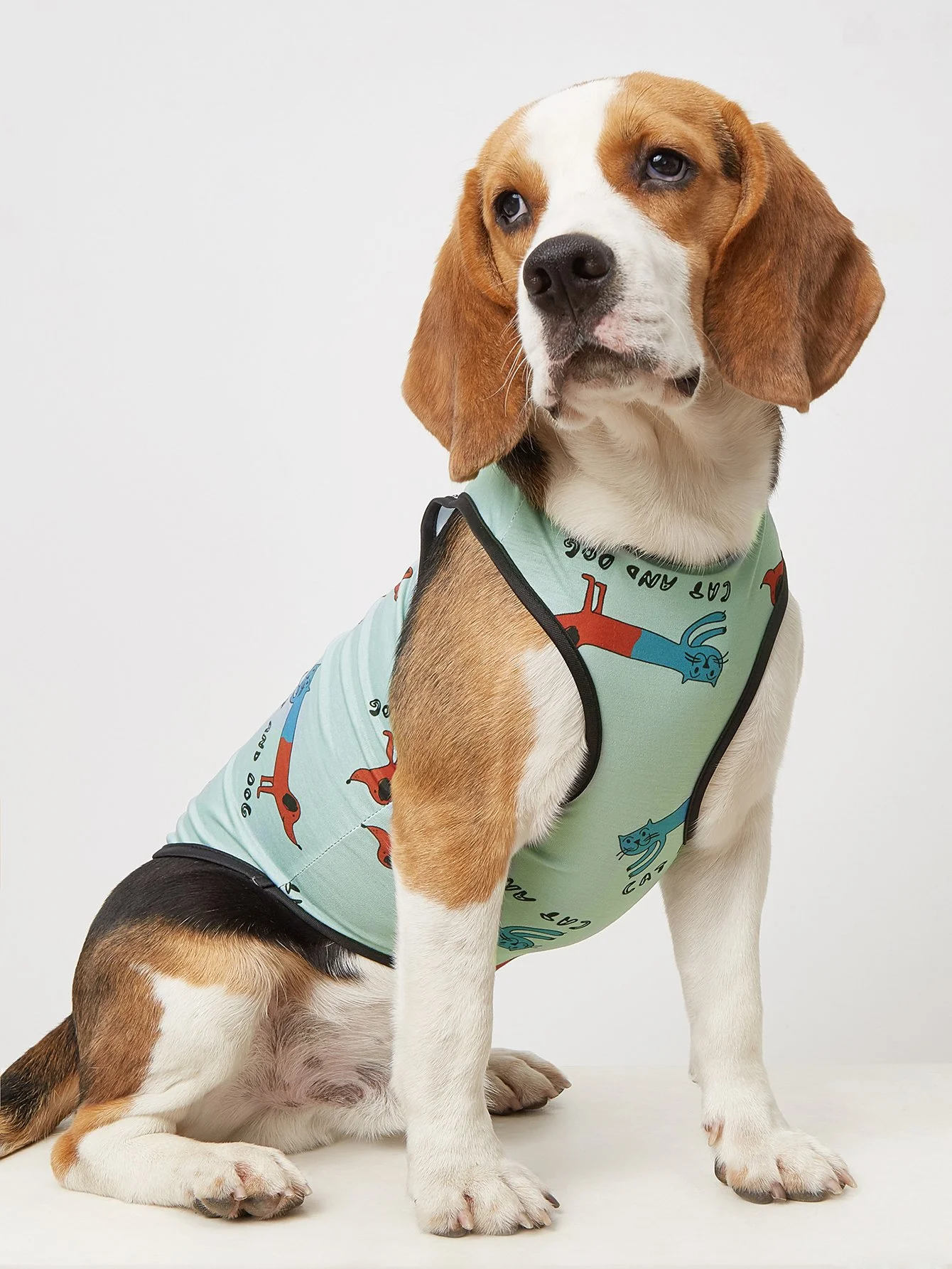 Cozy & Stylish Sweatshirt for Dogs & Cats