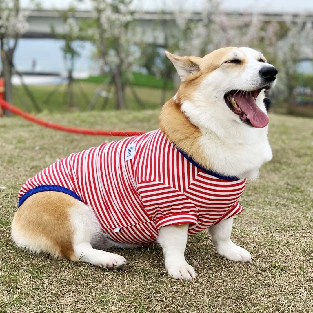 Stylish Striped Pet Vest