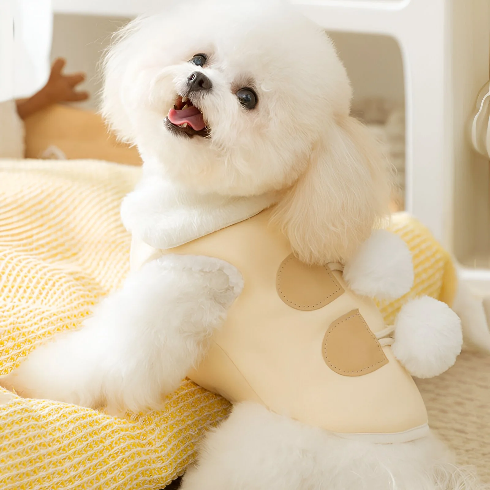 Winter Dog Vest with Teddy Fur Collar - Soft & Cozy Sleeveless Pet Shirt