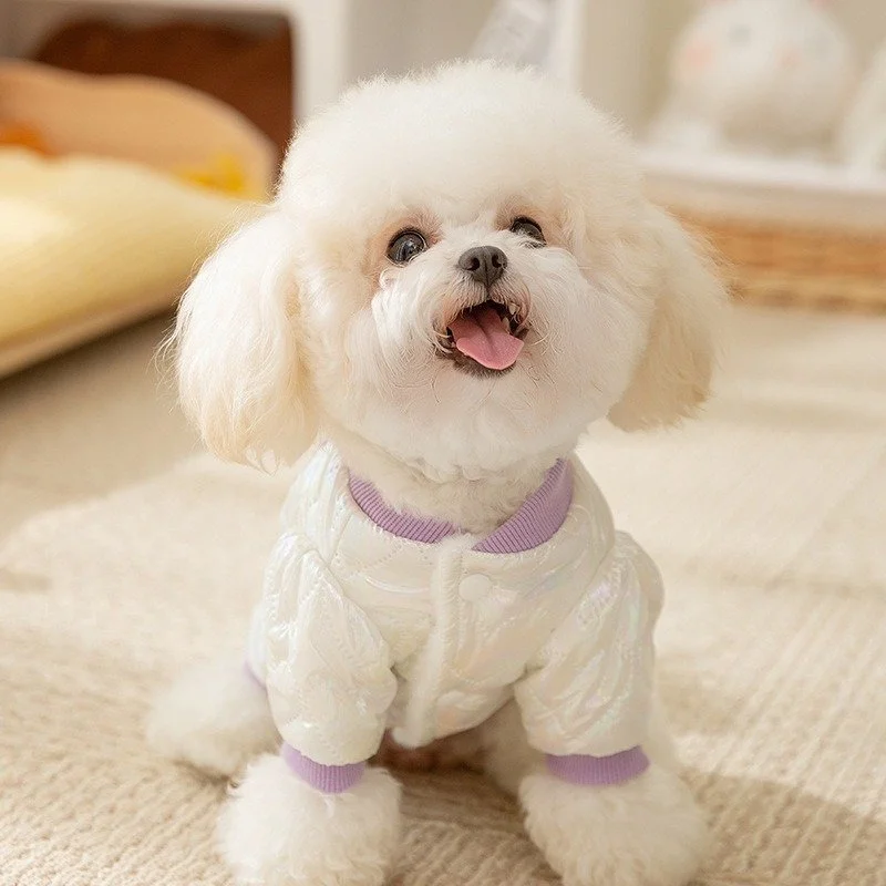 Cozy Korean-Style Teddy Dog Winter Coat – Warm & Stylish Cotton-Padded Jacket for Small Dogs