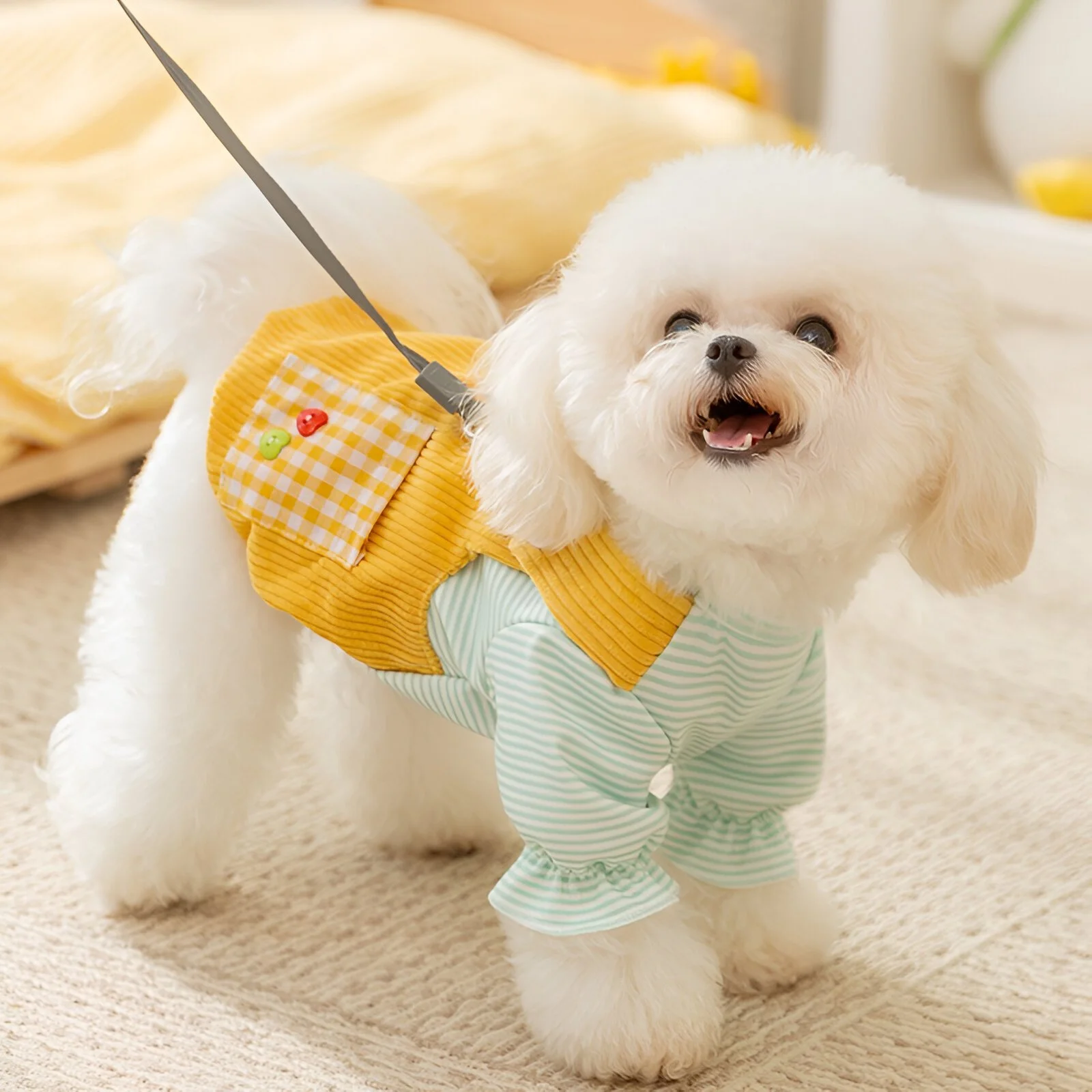 Fashion Corduroy Dog Pullover with Plaid Pocket – Cozy Two-Legged Sweatshirt for Small & Medium Dogs