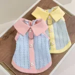 Sweet Plaid Lace Dress for Small Dogs