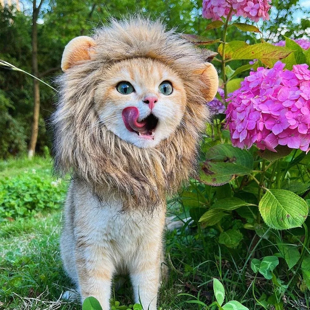 Funny Pet Lion Mane Costume