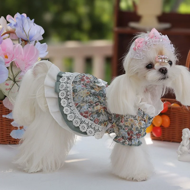 Cute Princess Puppy Clothes