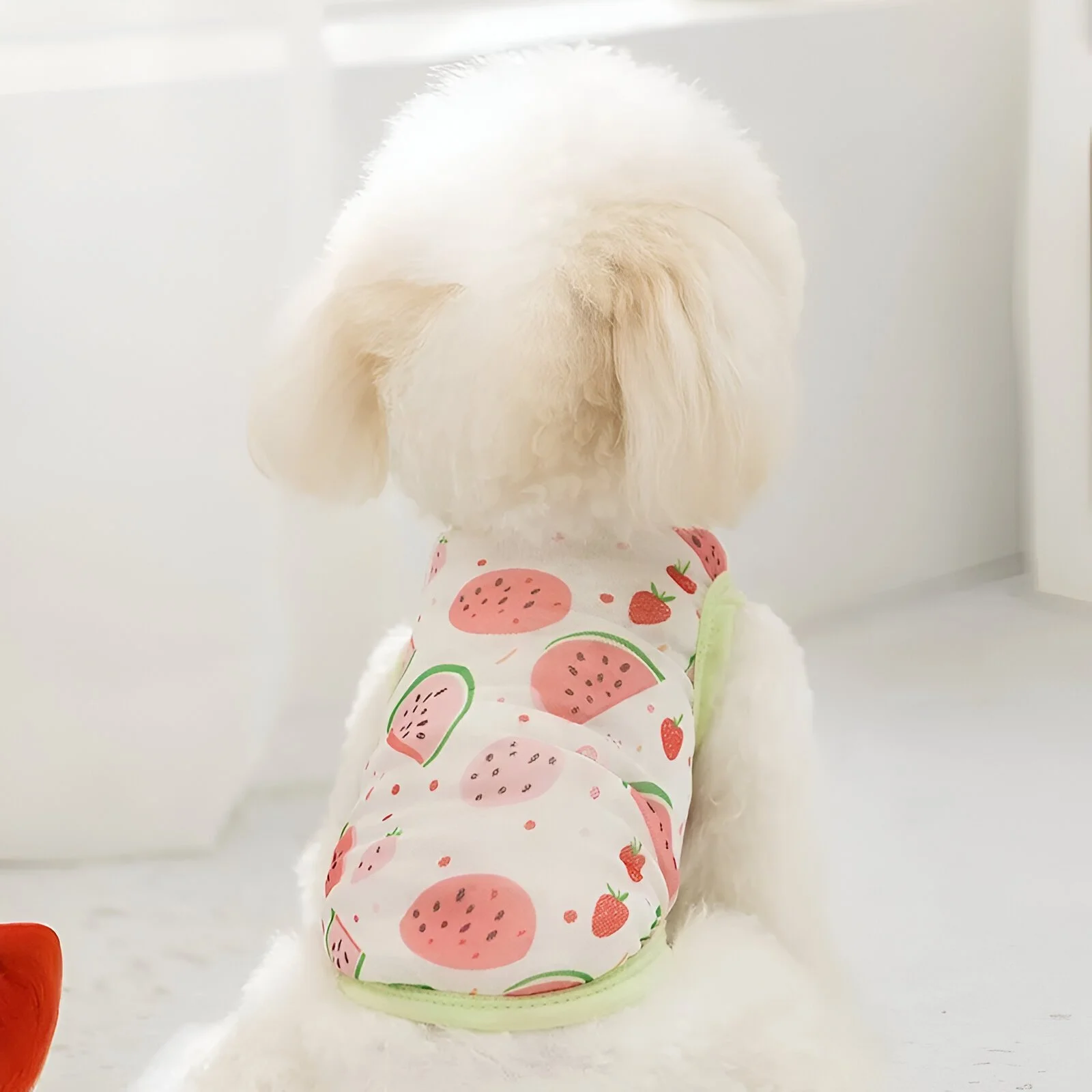Small Dog Summer Mesh Vest