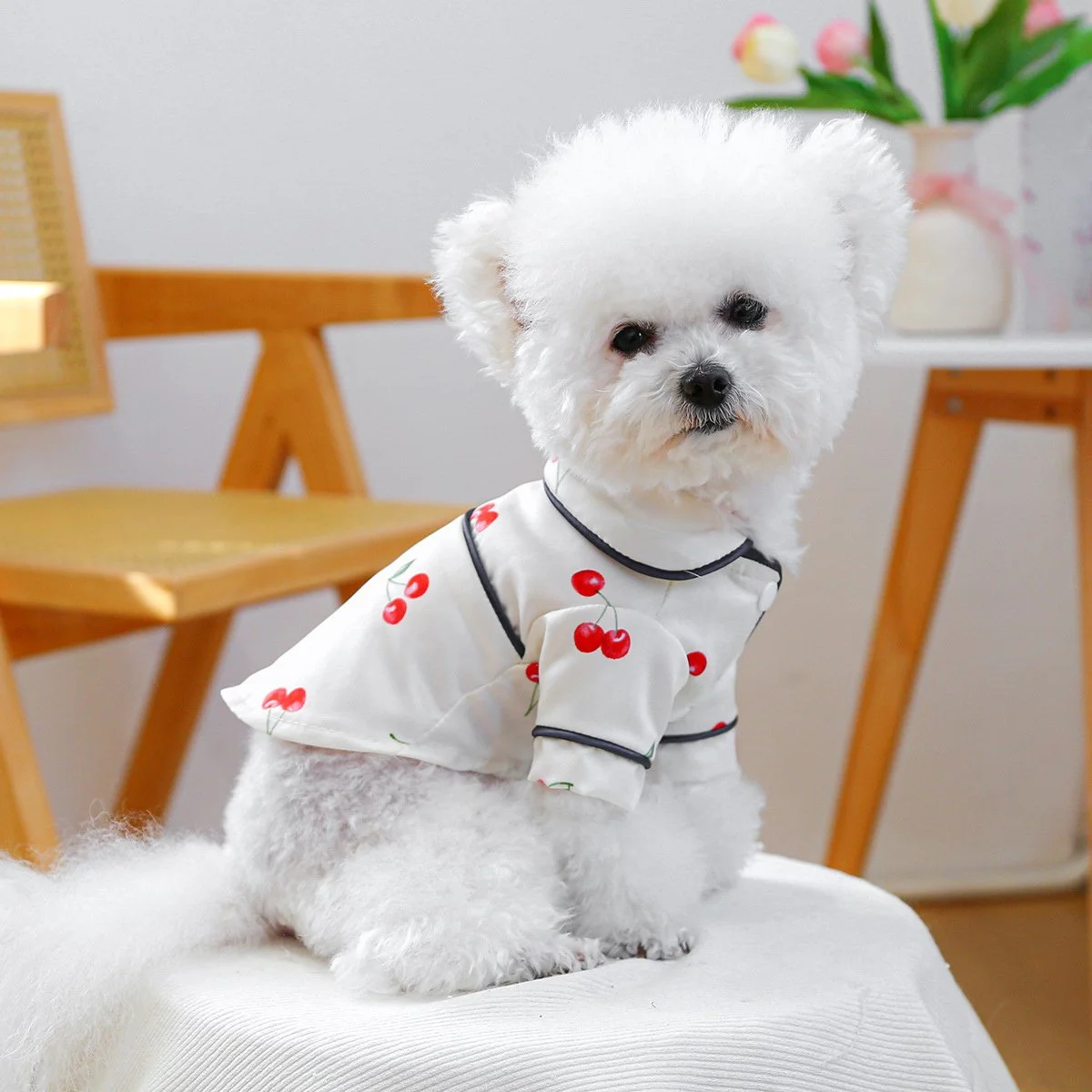 Cute Cherry Dog Shirt