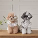 Elegant Lace Princess Dress for Small Dogs and Cats – Spring & Summer Pet Wear