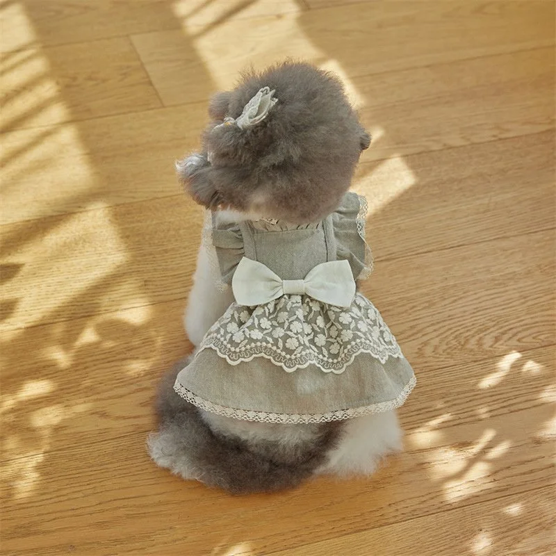 Elegant Lace Tulle Dress for Small Dogs and Cats – Spring/Summer Pet Outfit