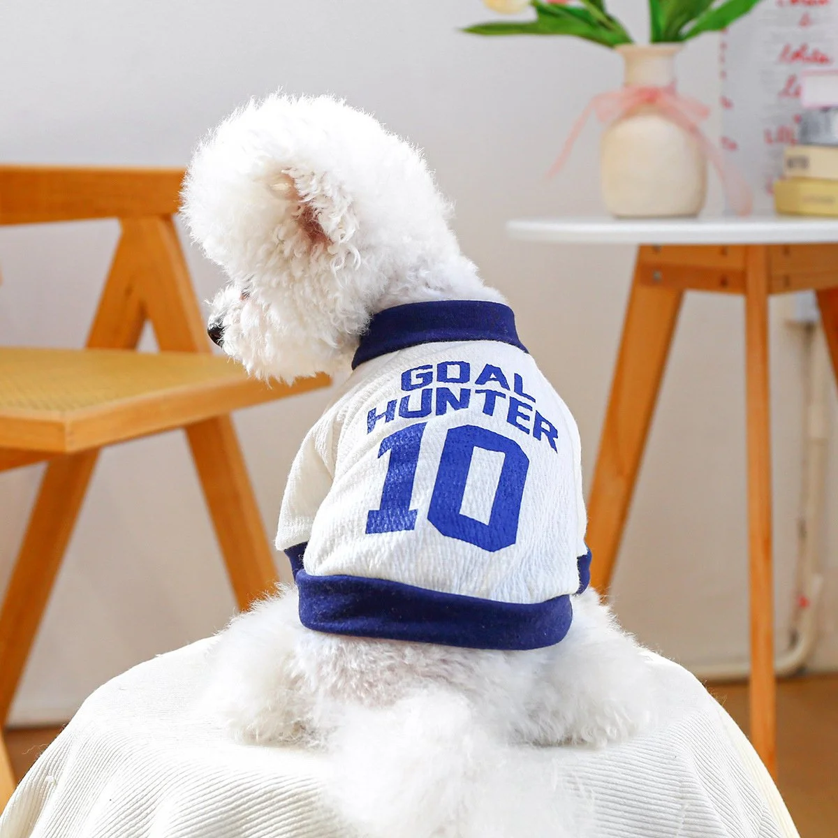Color Block Dog Hoodie – Lightweight Spring & Summer Vest for Small Dogs