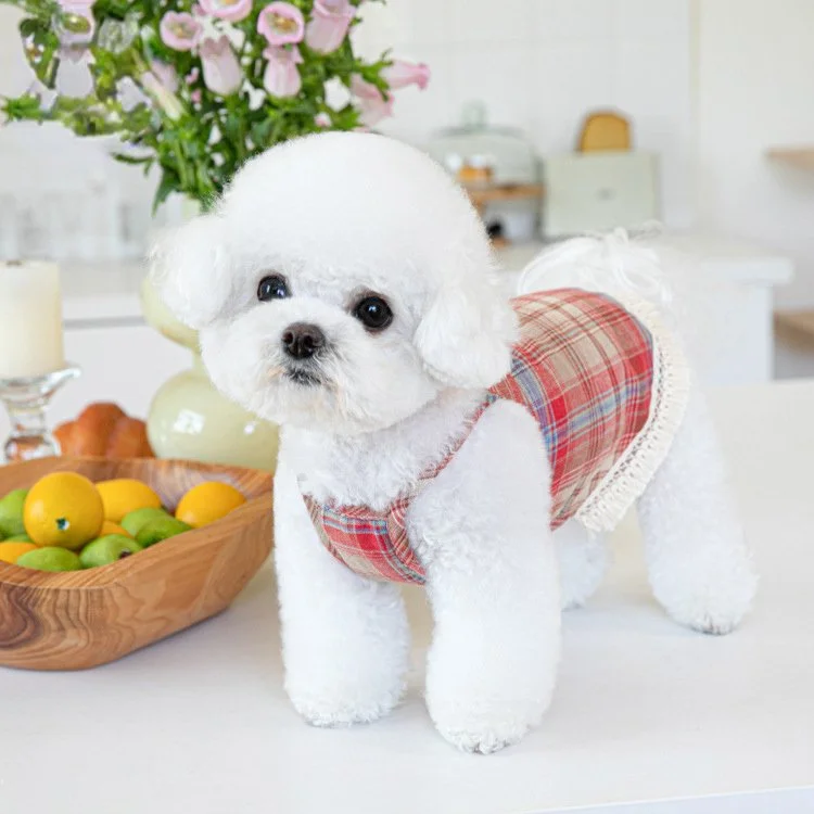 Checkered Pet Skirt Dress