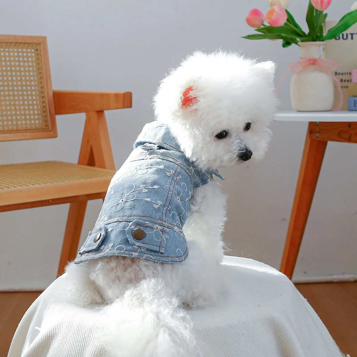 Stylish Denim Vest for Small Dogs – Lightweight Spring/Summer Pet Jacket
