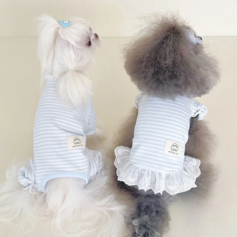Blue Striped Four-Leg Dog Outfit