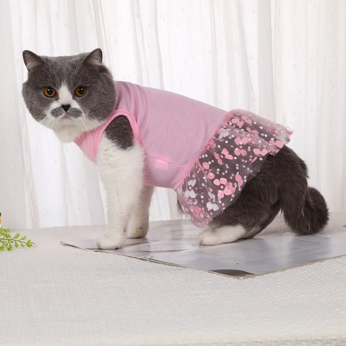 Pet Spring/Summer Pink Mesh Teddy Dress for Small Dogs