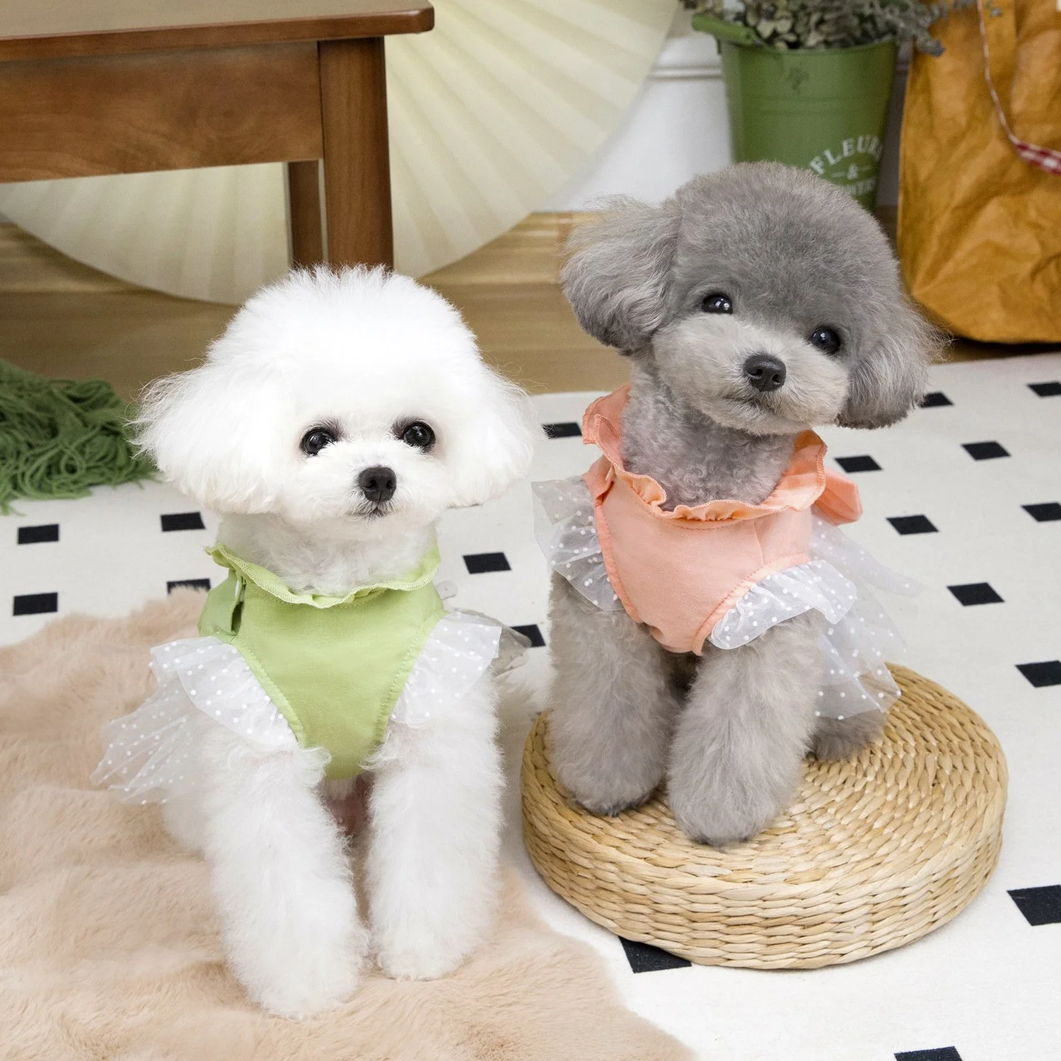 Cute White Bow Dog Dress