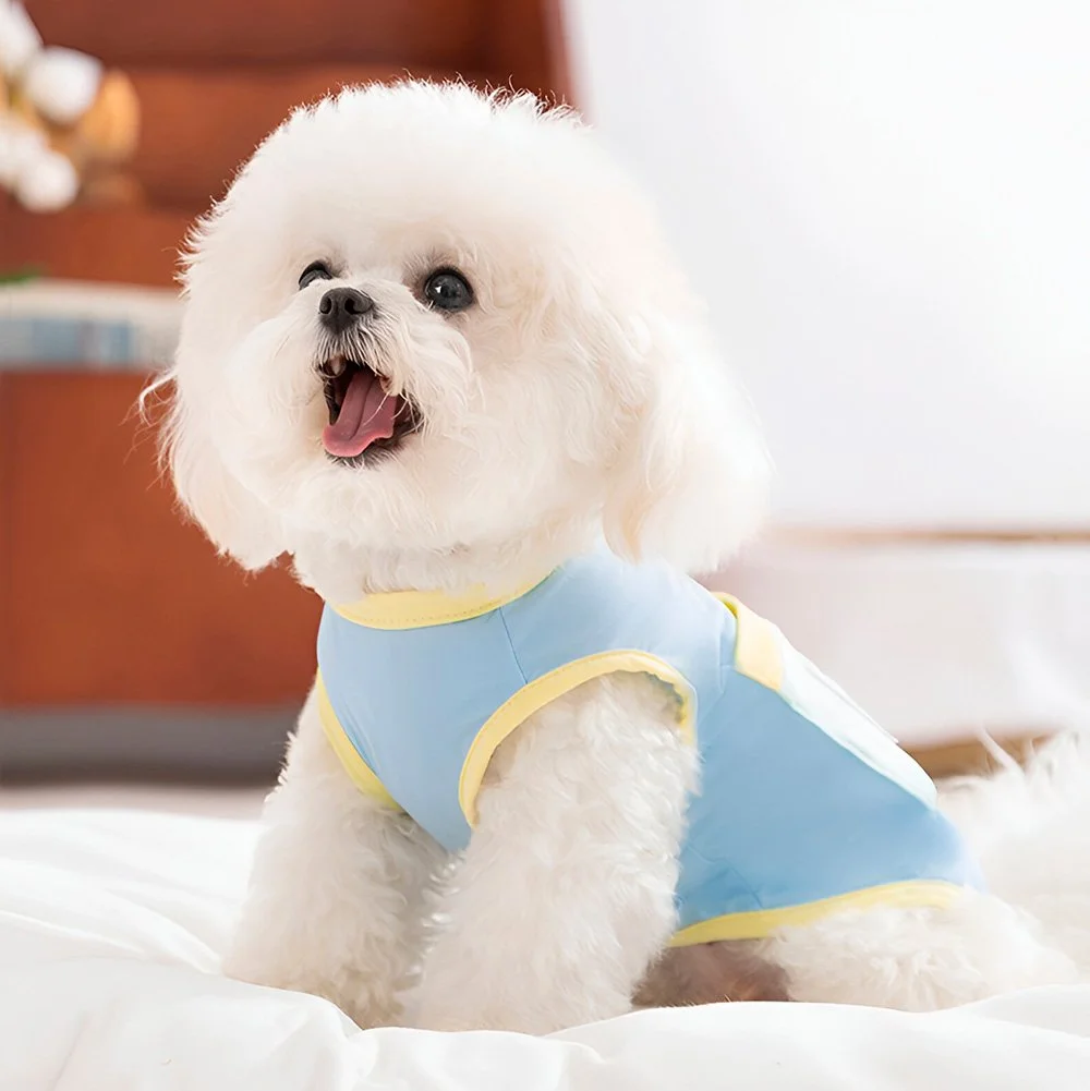 Cooling Summer Dog Vest – Lightweight Sun Shirt for Small Breeds