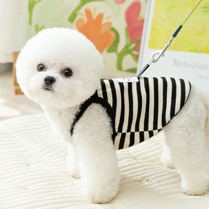 Breathable Summer Dog Vest for Small & Medium Dogs – Striped Leashable T-Shirt