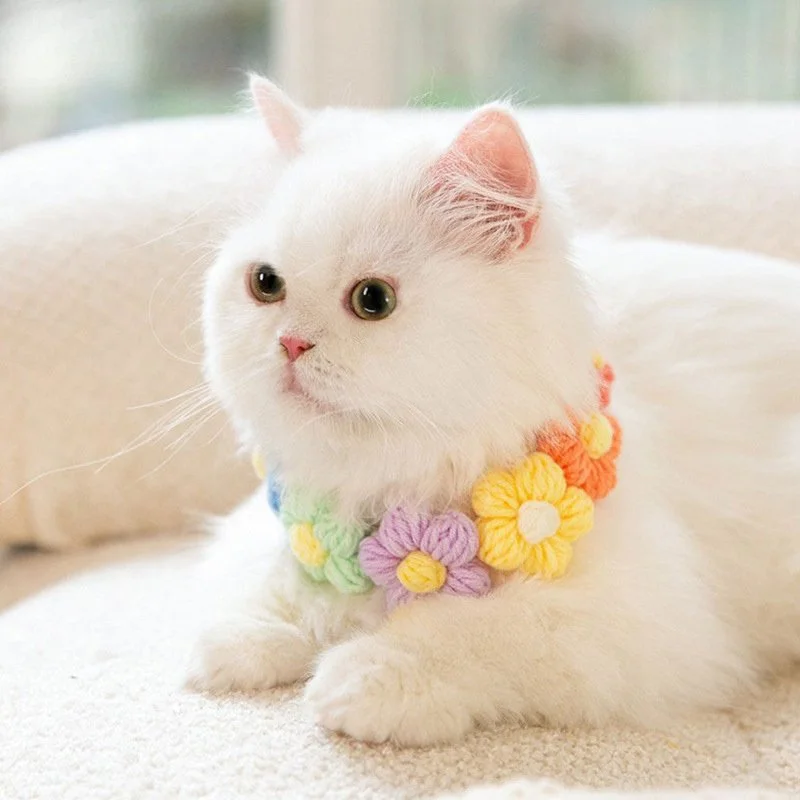 Cute Knitted Pet Collar with Crochet Flowers