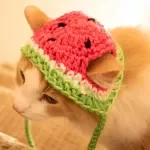 Watermelon Cat & Dog Hat