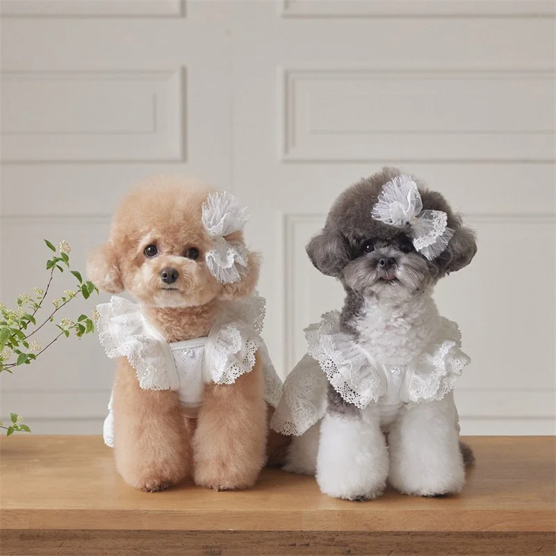 Elegant Lace Princess Dress for Small Dogs and Cats - Spring/Summer Pet Outfit