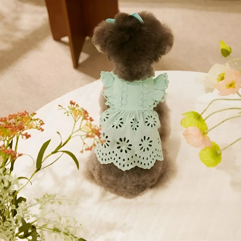 Pet Lace Flying Sleeve Princess Dress for Small Dogs