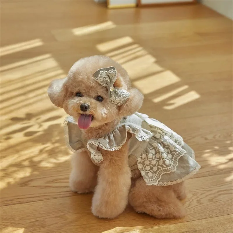 Pet Flying Sleeve Lace Dress for Small Dogs