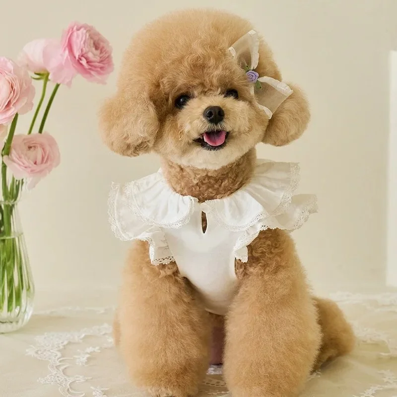 Pet Spring/Summer Lace Flying Sleeve Dress for Small Dogs