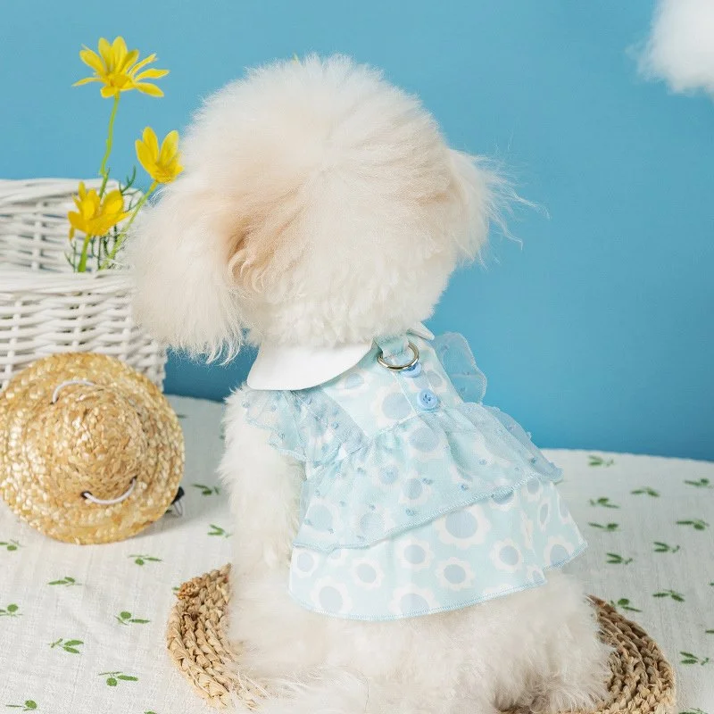 Chic Lace Mesh Dress for Small & Medium Dogs