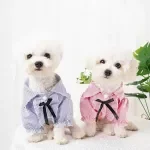 Summer Stripe T-Shirt for Small Dogs