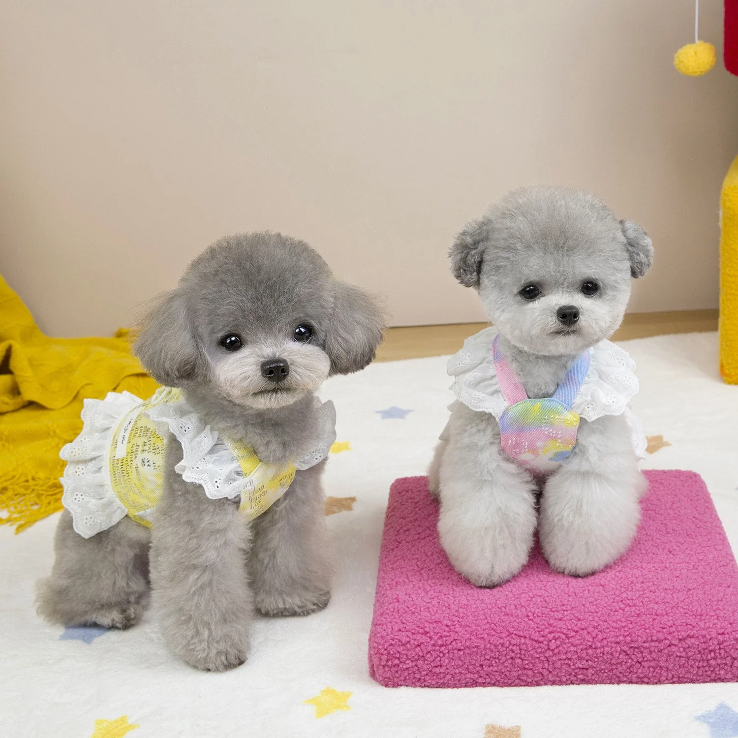 Chic Puppy Skirt & Lace Vest