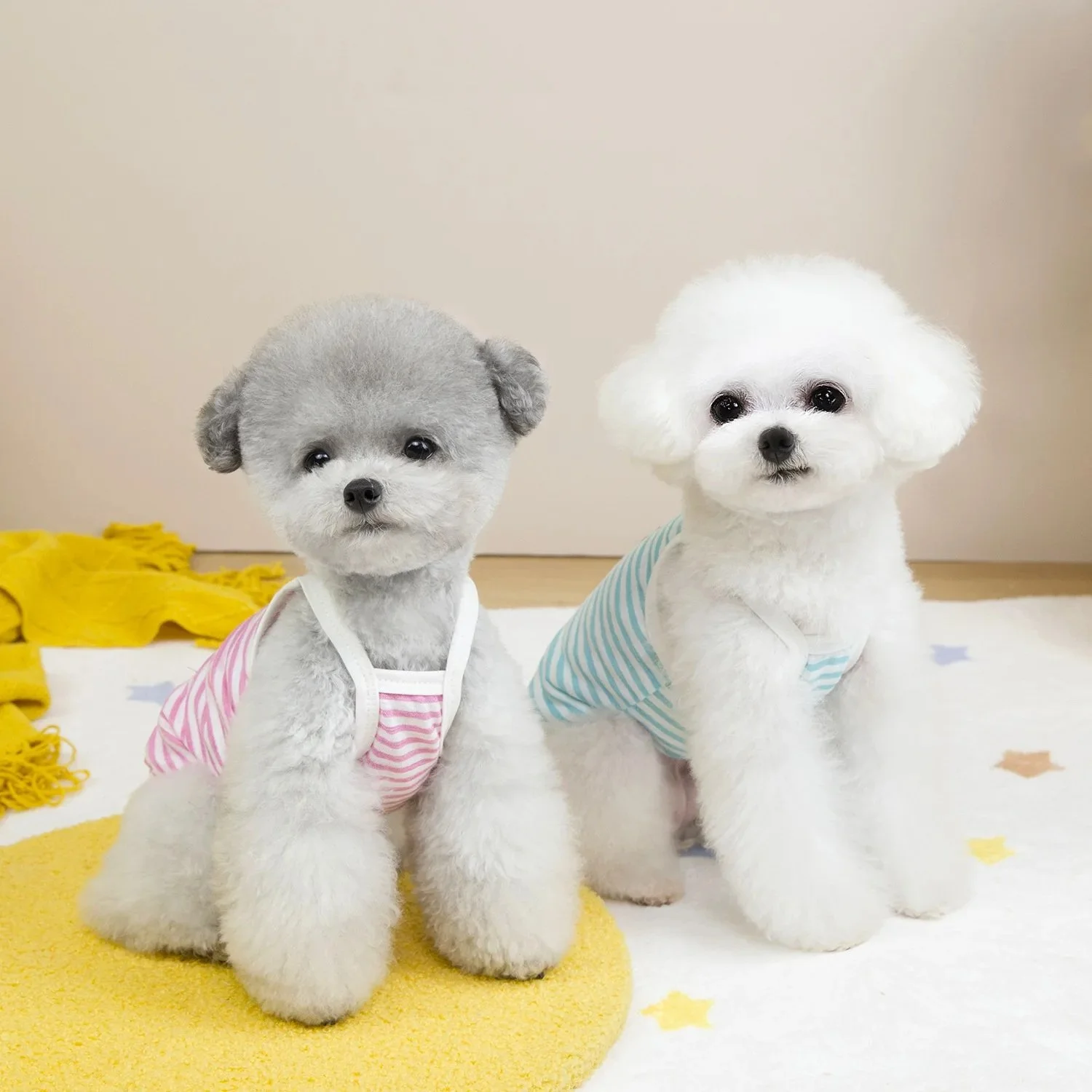 Striped Tulle Dog & Cat Clothes for Small & Medium Pets