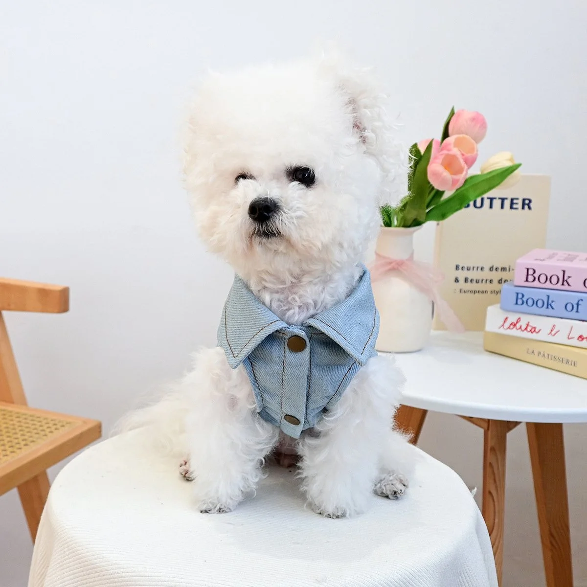 Denim Angel Wings Dog Vest – Summer Breathable Pet Outfit with Heart Design