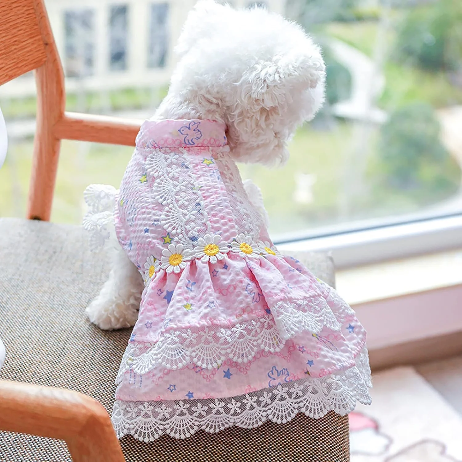Sweet Pink Lace Tutu Dress for Small Dogs & Kittens
