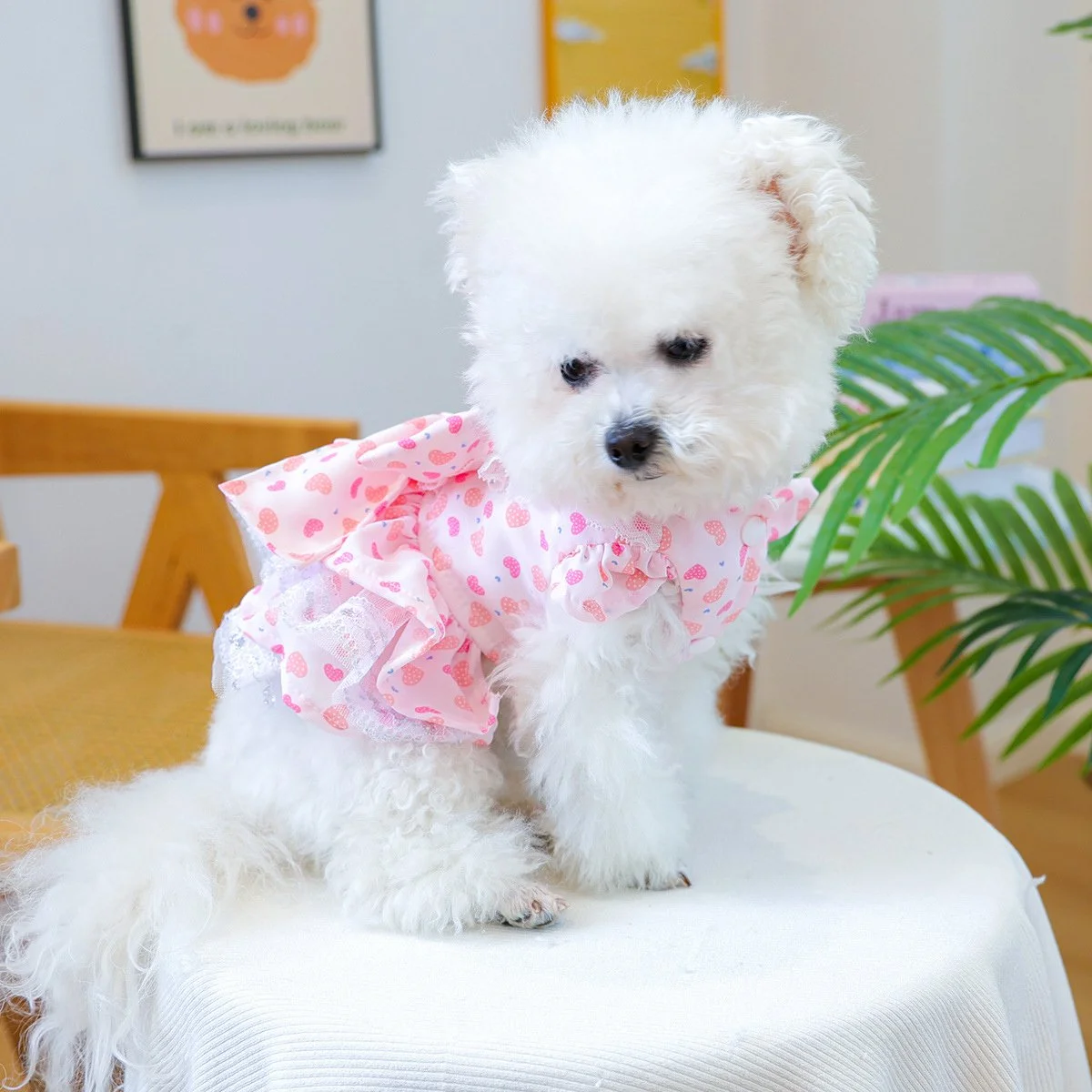 Sweetheart Summer Dress for Small Dogs & Cats – Princess Tulle Pet Outfit