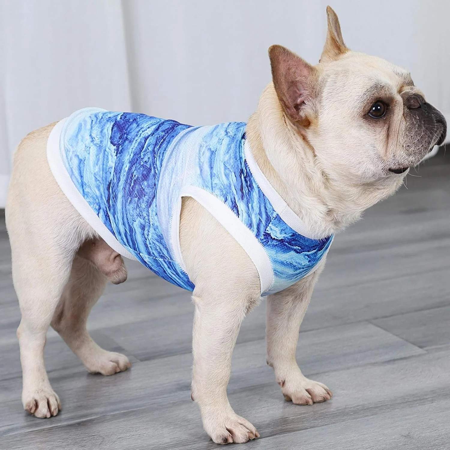 Breathable Summer Cooling Vest for Dogs & Cats