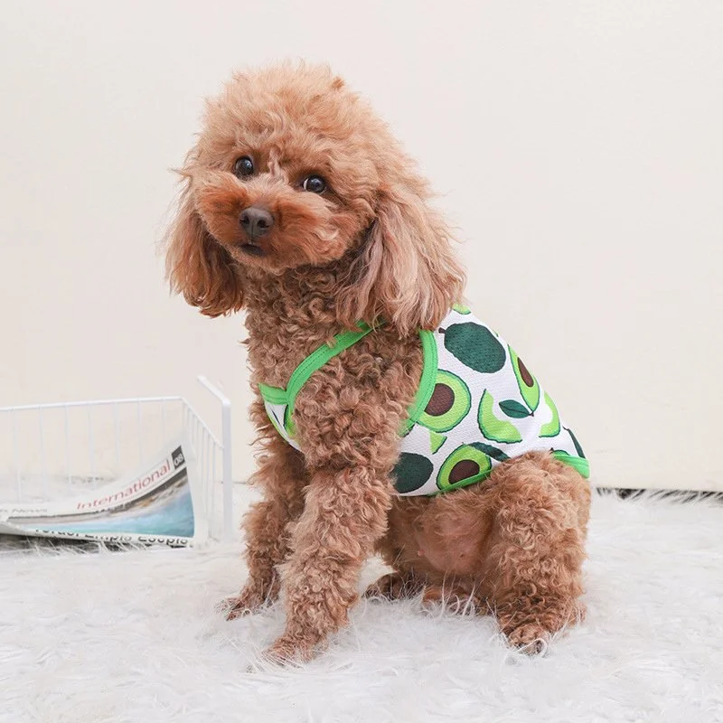 Breathable Summer Dog Vest for Small & Medium Breeds