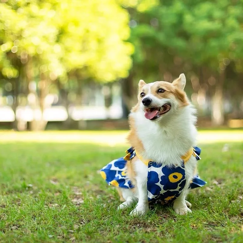 Summer Floral Dress for Small & Medium Dogs