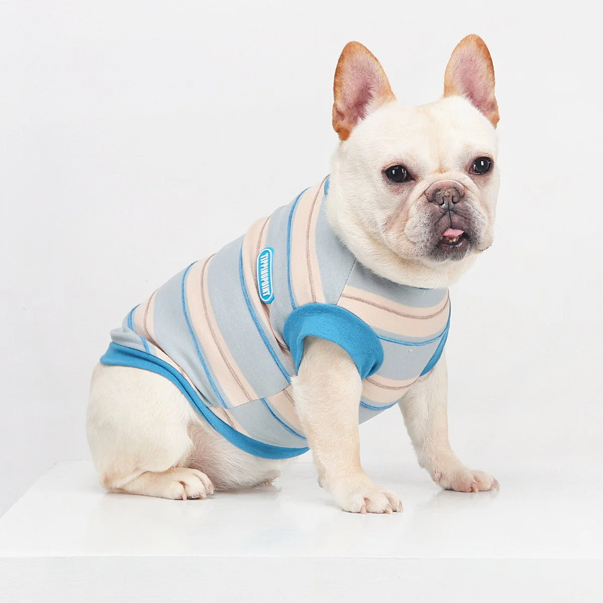 Summer Dog Vest T-Shirt Sweatshirt