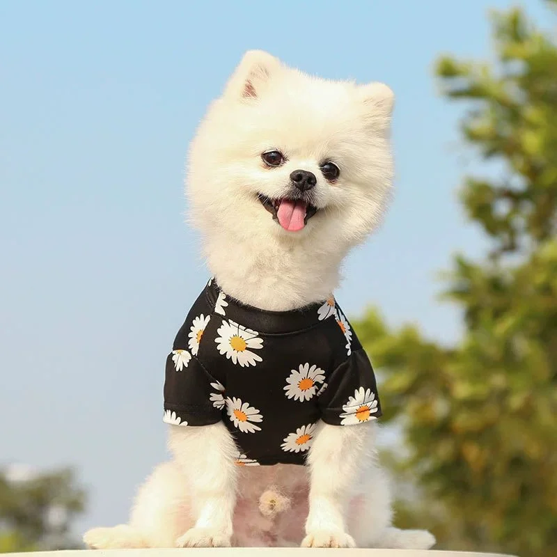 Soft Pink Short Sleeve Sweatshirt for Small Dogs & Cats