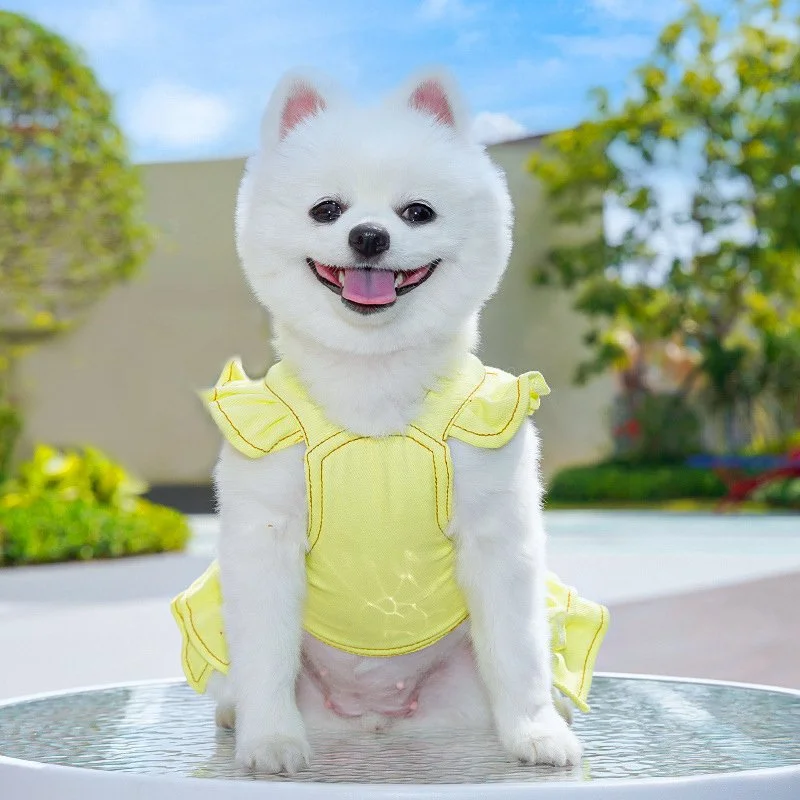 Windproof Puppy Harness Vest with Leash