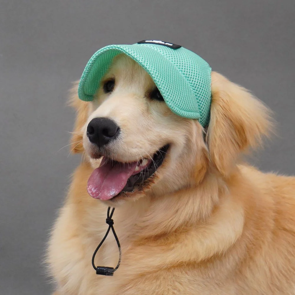 Adjustable Breathable Mesh Baseball Cap for Dogs & Cats