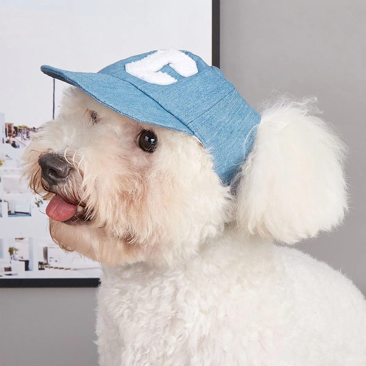 Adjustable Dog Sun Hat with UV Protection
