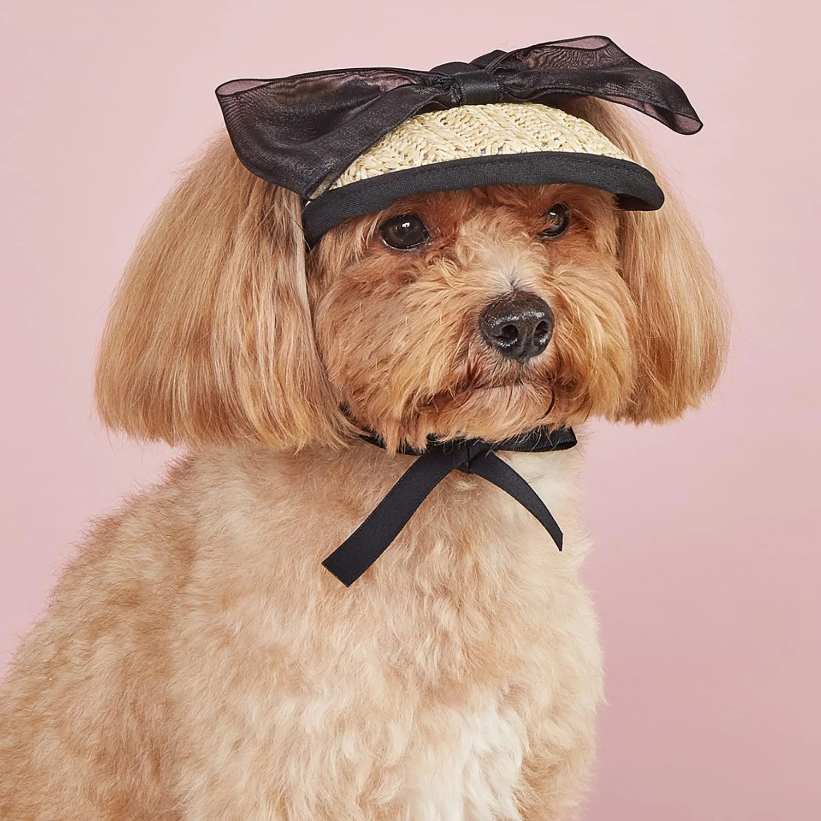 Adjustable Summer Pet Sunshade Hat with Lace Bow for Dogs & Cats