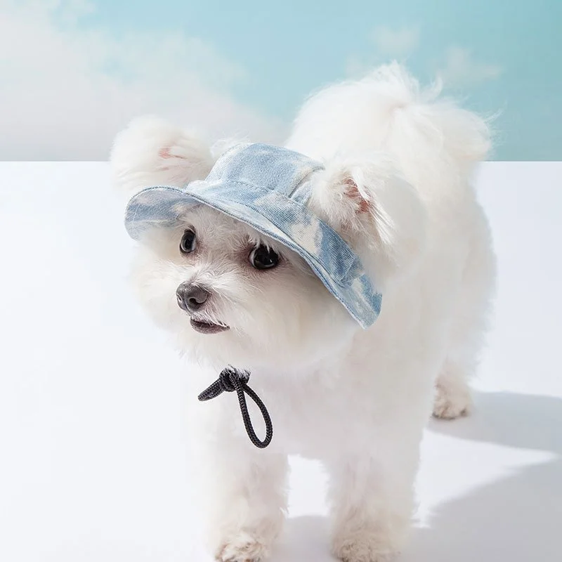 Stylish Summer Dog Hat