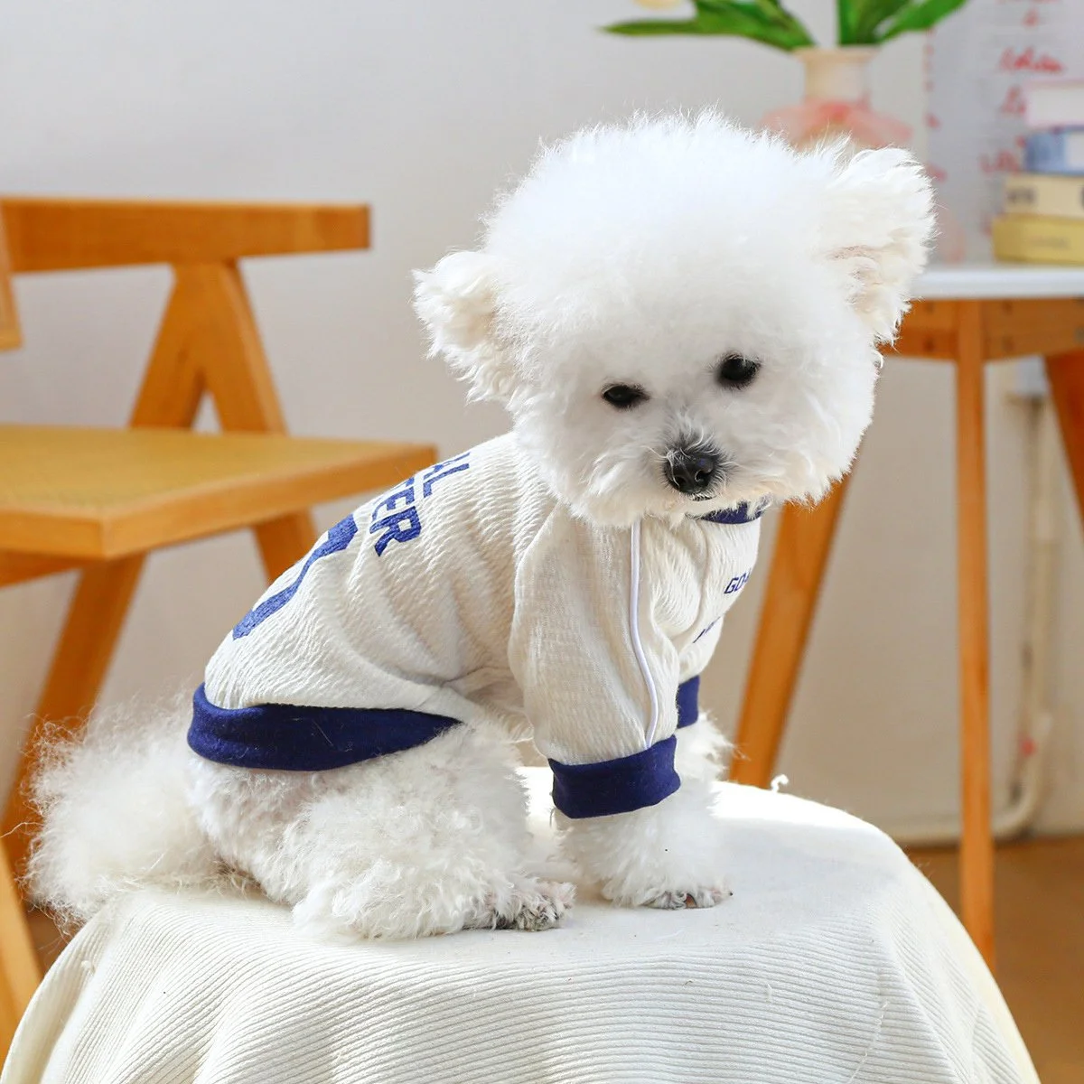 Color Block Dog Hoodie