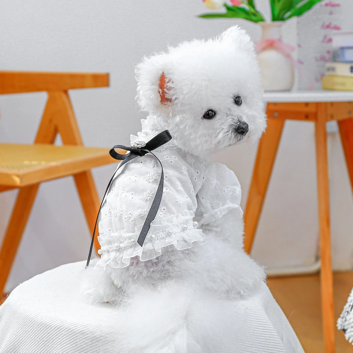 Elegant Lace High Neck Dog Shirt with Bubble Sleeves & Bow