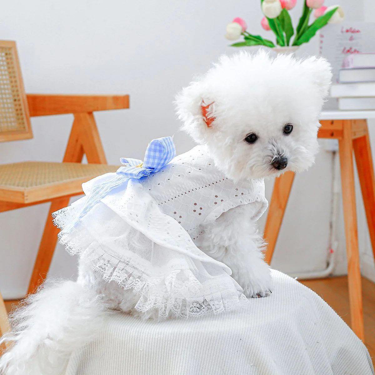 Spring Summer Lace Dog Dress with Bow & Fluffy Skirt for Small Dogs