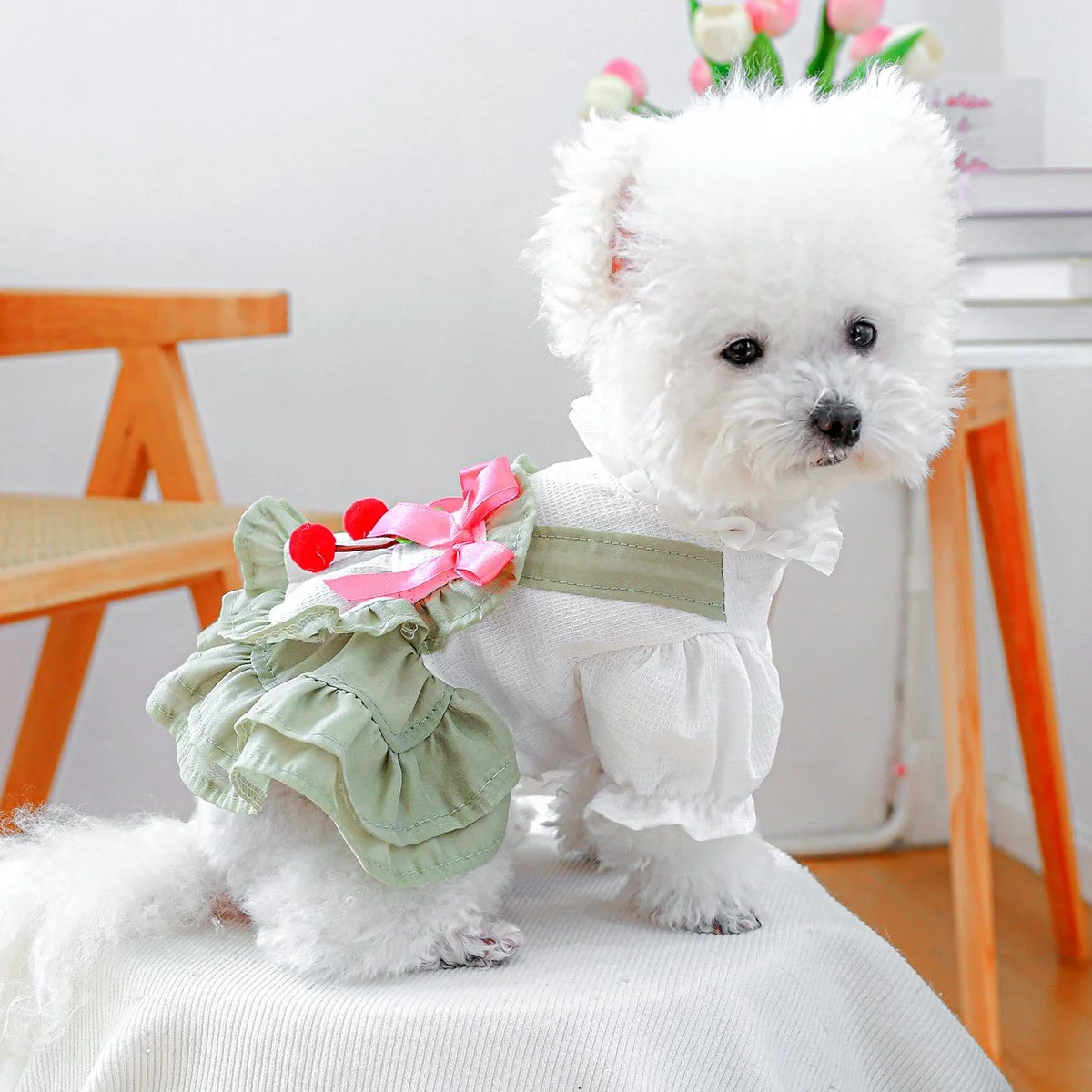 Cherry Cake Dog Dress