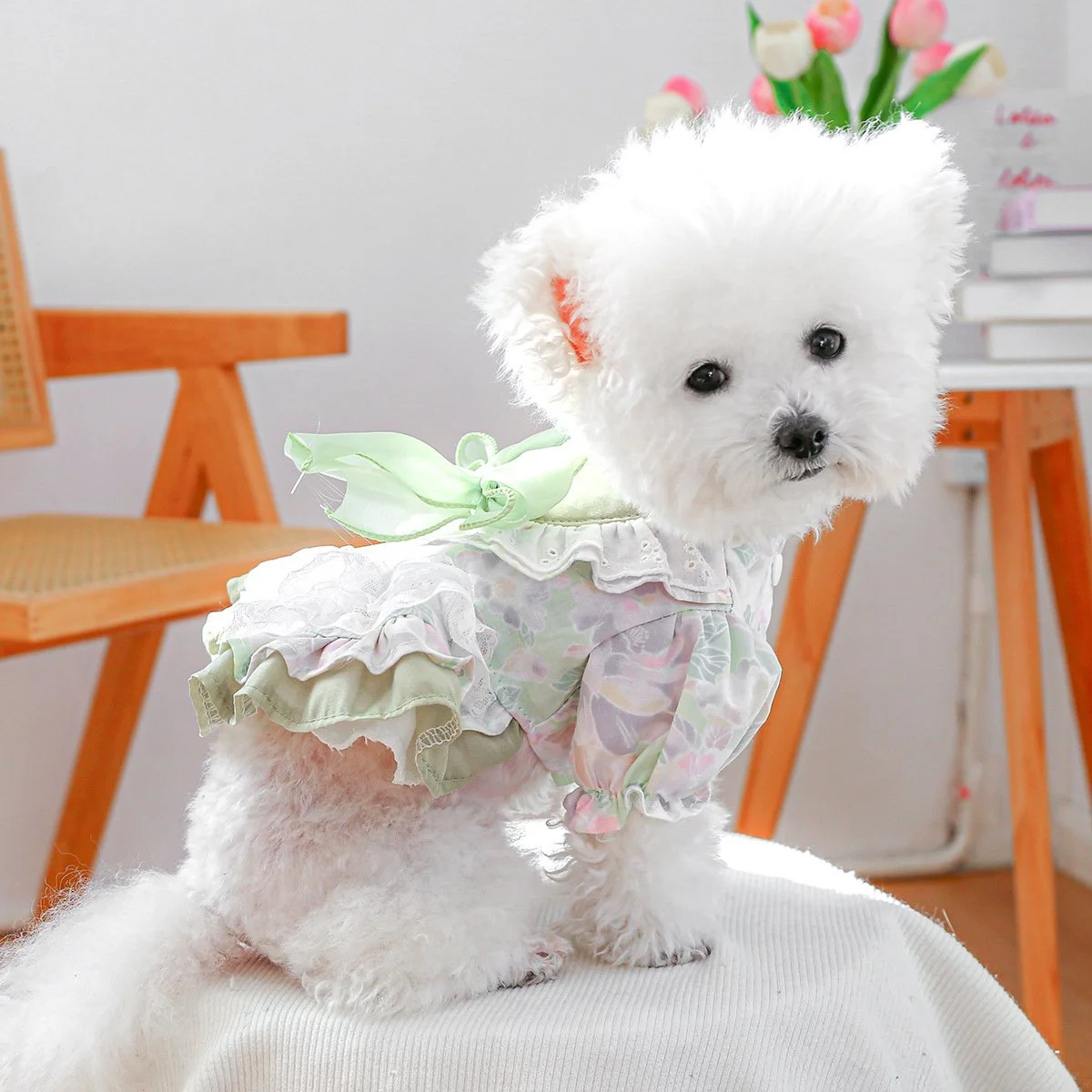 Adorable Mesh Bow Dog Dress